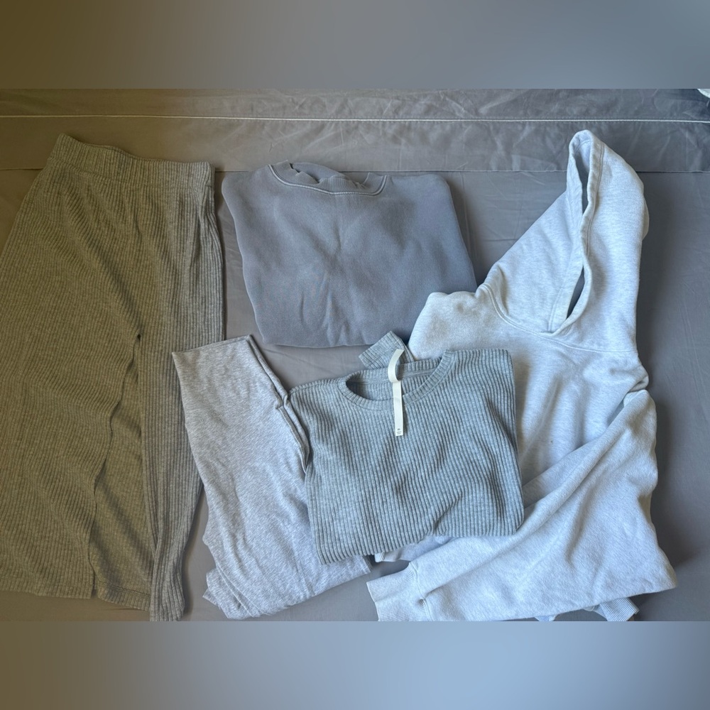 Aritzia Bundle of 5 items - hoodie, sweatshirt, pants, skirt